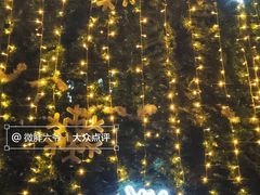 -王府井天主教堂