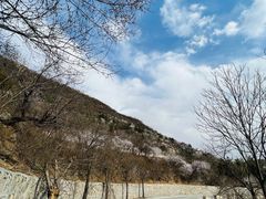 -妙峰山风景名胜区