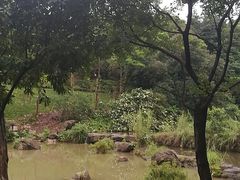 -云溪植物园