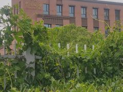 -上海国际旅行卫生保健中心(浦东分中心)