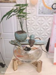 点击看大图 -Cocodemer女性健康·产后恢复(天一广场店)