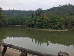 -滴水岩森林公园
