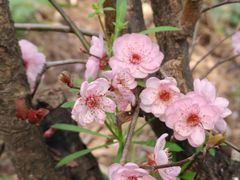 -重庆彩云湖湿地公园
