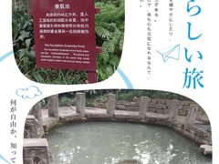 -成都市活水公园
