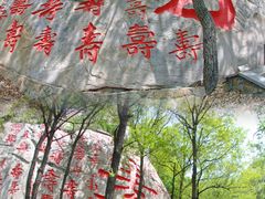 -沂蒙山旅游区龟蒙景区