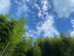 -将军关探险漂流