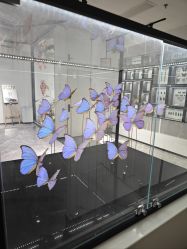 -酷嗒动物文化乐园(cutezoo西溪乐天城店)