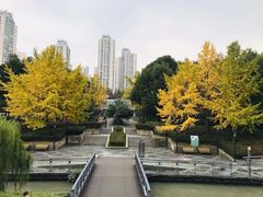 -苏州河梦清园环保主题公园