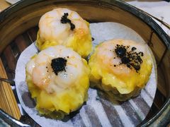 蟹子烧卖-糖朝(尖沙咀店)