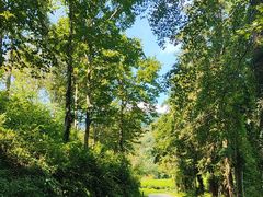 -午潮山国家森林公园