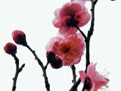 -山东大学(趵突泉校区)