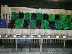 -红栌温泉山庄生态美食餐厅