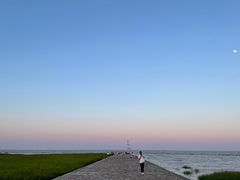 -南汇嘴观海公园