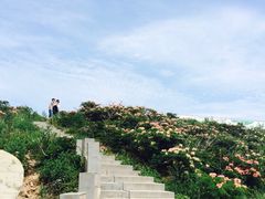 -海驴岛(荣成市)