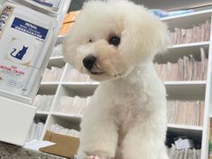 -爱侣宠医·鹦鹉专科·小型哺乳类·异宠专科(灵石路店)