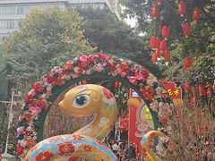 -越秀西湖花市(广州城市广场花卉店)