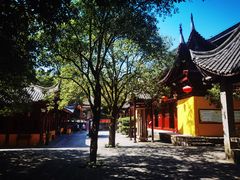 -缙云山景区