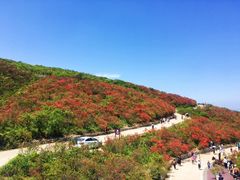 -永州阳明山国家森林公园