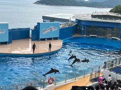 -香港海洋公园