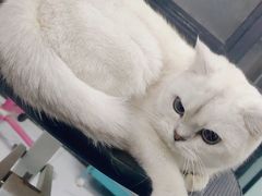 -嘉馨宠物医院·CT影像转诊·心脏科·犬猫全科诊疗中心(下沙大学城院区)