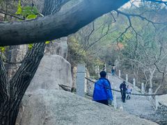 -北京凤凰岭