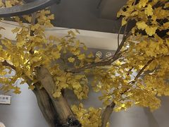 -大潮淮·淮扬菜(何园旗舰店)