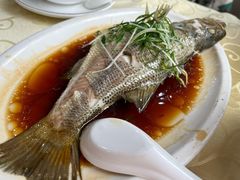 -老字号蛇口德记烧腊饭店·海鲜加工