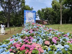 -武汉园博园(武汉自然博物馆)