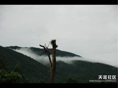 -瑶山大峡谷漂流景区