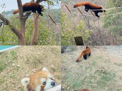 -无锡动物园·太湖欢乐园