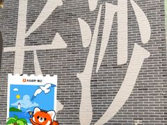 -黑色经典臭豆腐·湖南特产(太平街口店)