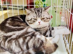 -正阳春烤鸭店(杨楼店)