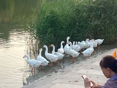 -南翠屏公园
