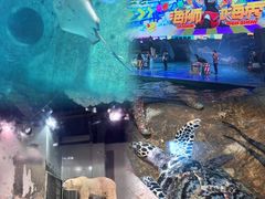 -大连圣亚海洋世界