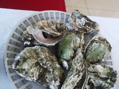 -渔民船说·北塘海鲜·天津菜·海肠捞饭(北塘古镇店)