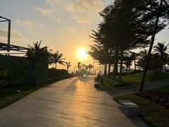 -三亚海棠湾喜来登度假酒店
