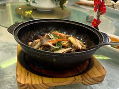 -满福隆酒楼(万绿园店)