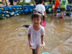 -武汉紫薇都市田园