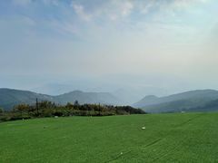 -孝丰南门锅贴(南街店)