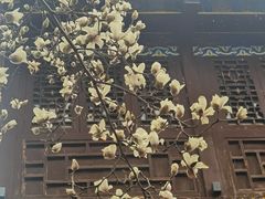 -长春观