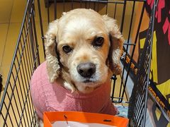 -MARSMART PETS火星宠物超市(1733店)