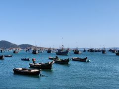 -海源公园