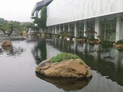 -罗红摄影艺术馆