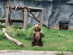 -武汉动物园