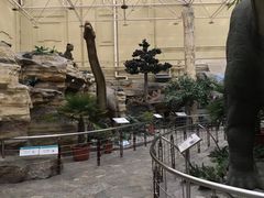 -国家自然博物馆