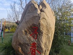 -顾村公园