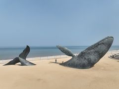 -烟台金沙滩海滨公园