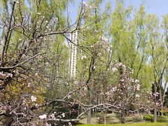 -森林公园(尖草坪区)