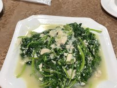 豆腐炒芝麻菜-苍洱春饭店