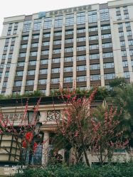 -重庆安琪儿妇产医院-妇幼保健联盟医院